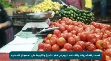 أسعار الخضروات والفاكهة اليوم في كفر الشيخ وتأثيرها على الأسواق المحلية